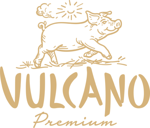 Vulcano Premium Gold-Logo